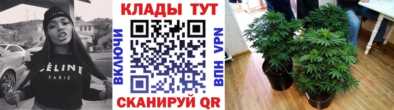 Как найти закладки Дорогобуж Cocaine A-PVP ГАШИШ Каннабис АМФЕТАМИН Меф мяу мяу