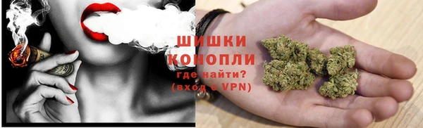 MESCALINE Аркадак