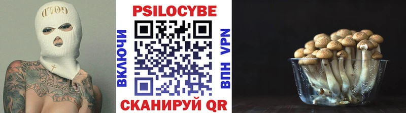 купить сайты Дорогобуж Псилоцибиновые грибы прущие грибы